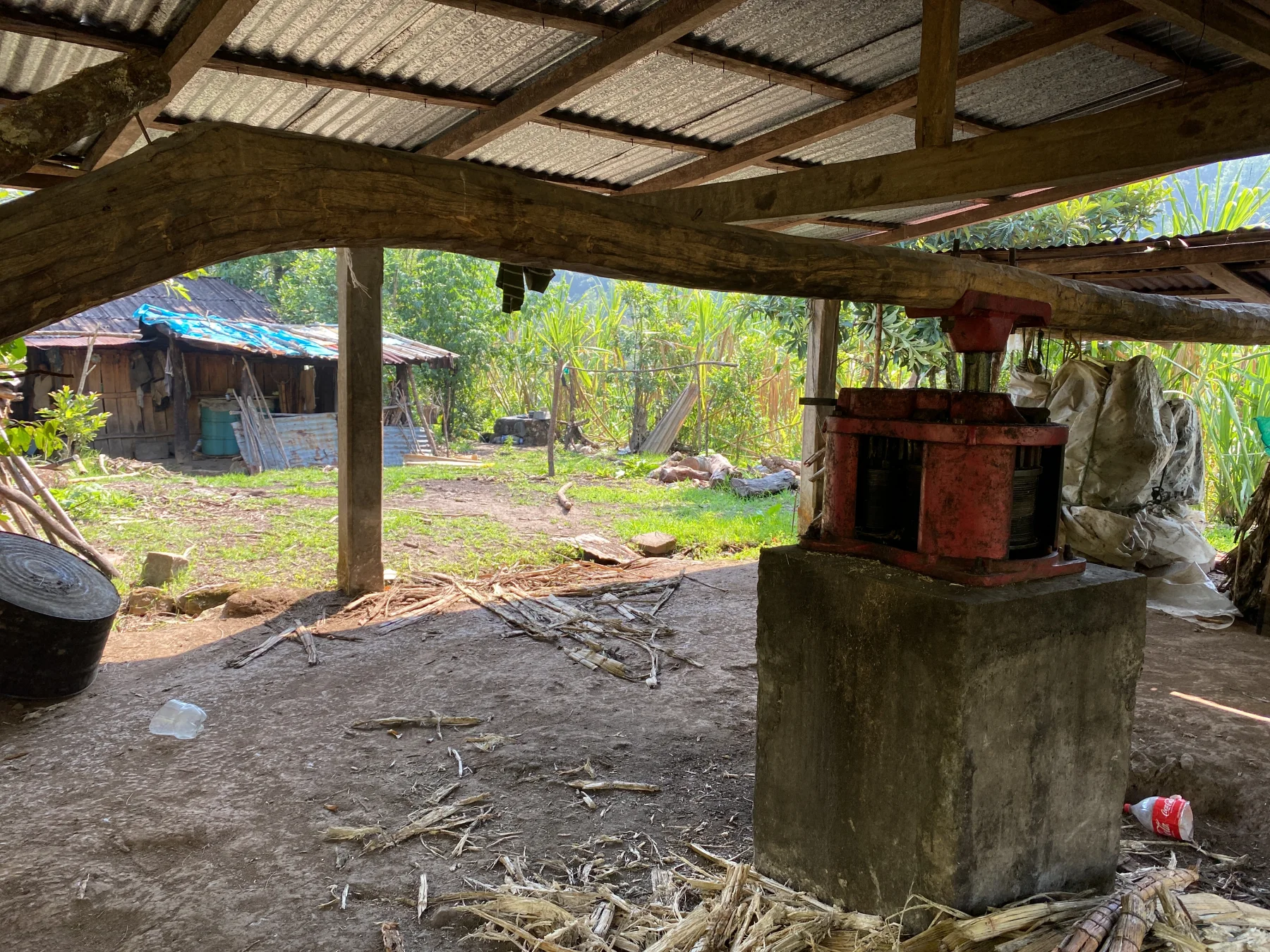 The traditional cane press at the Sierra Mixe vinatera